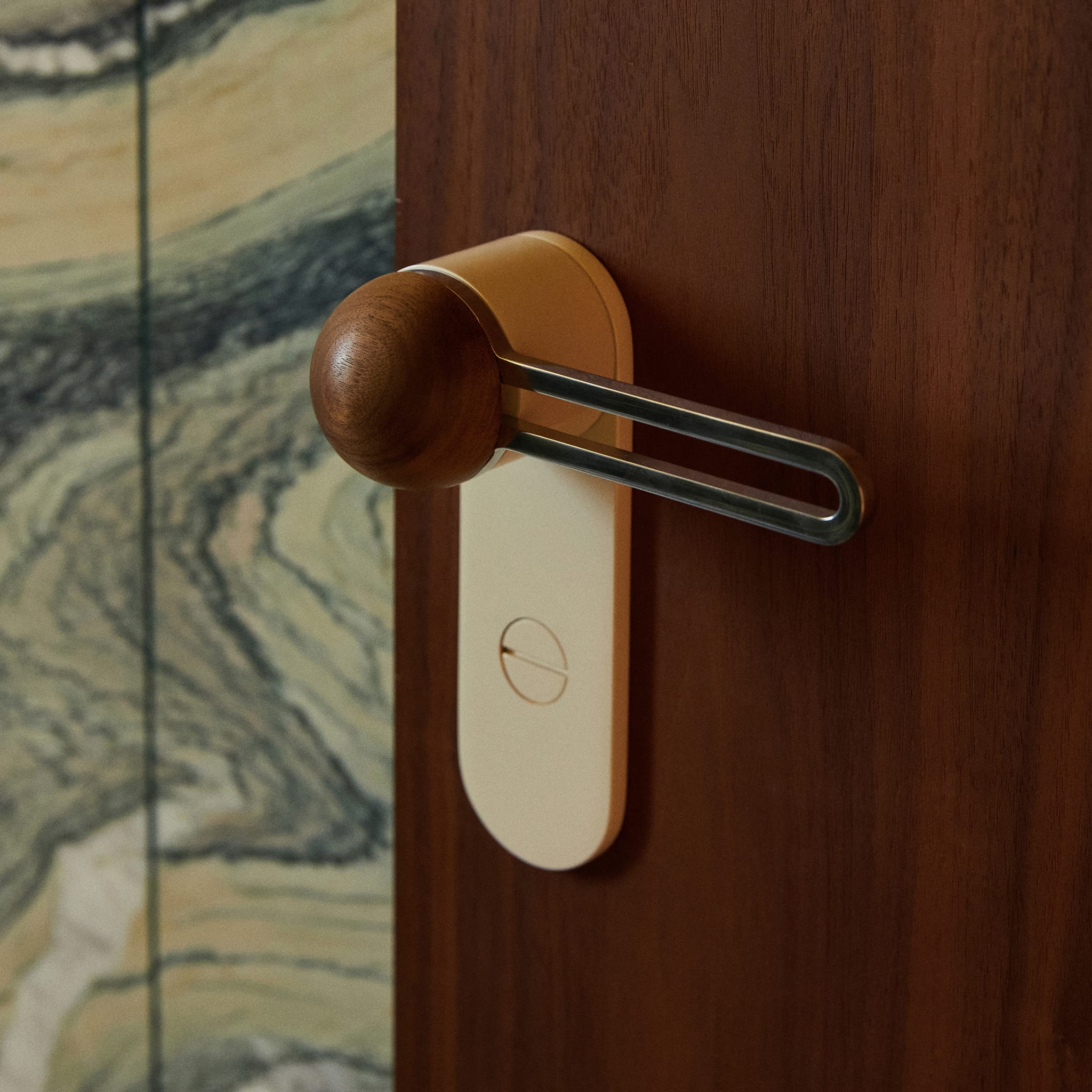 Door Levers